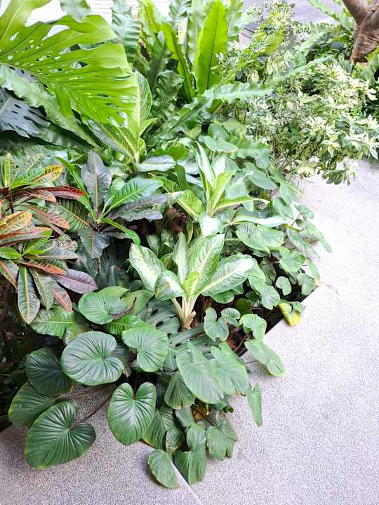 Gartenanlage Hotel Amber Pattaya