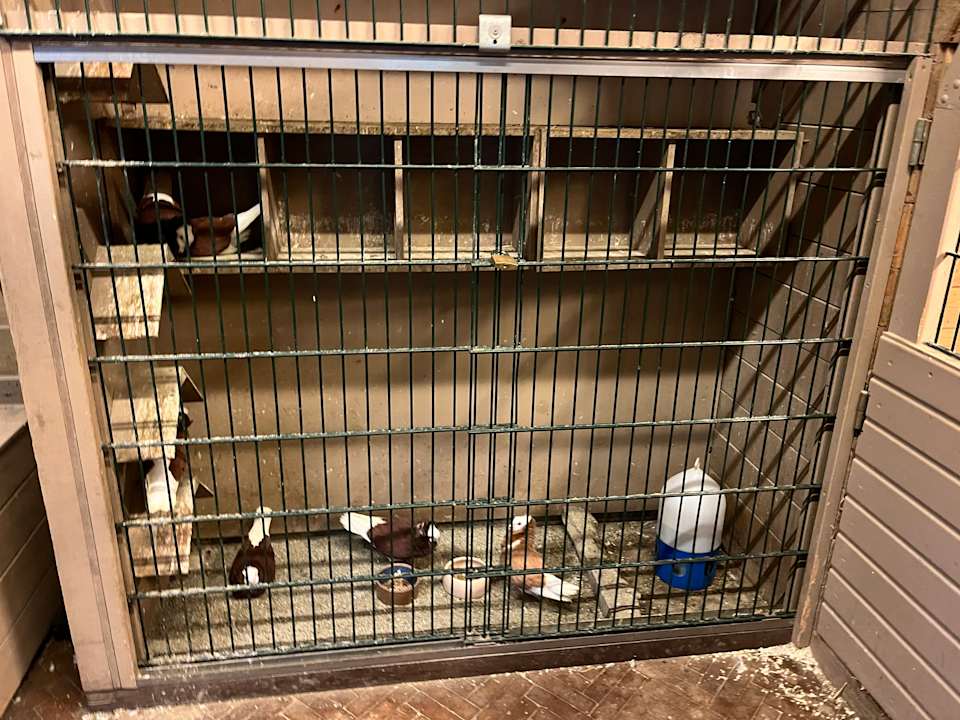 Sport & Freizeit Center Parcs De Kempervennen