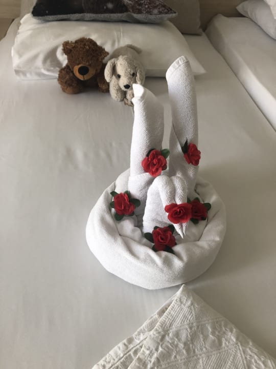 Zimmer Hotel Gardenia Beach