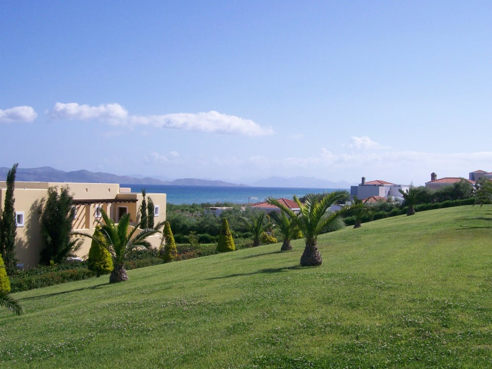 Palmengarten Richtung Marmari Hotel Horizon Beach Resort