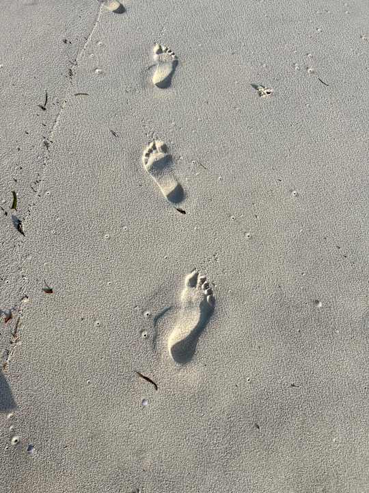 Strand Hotel Southern Palms Beach Resort