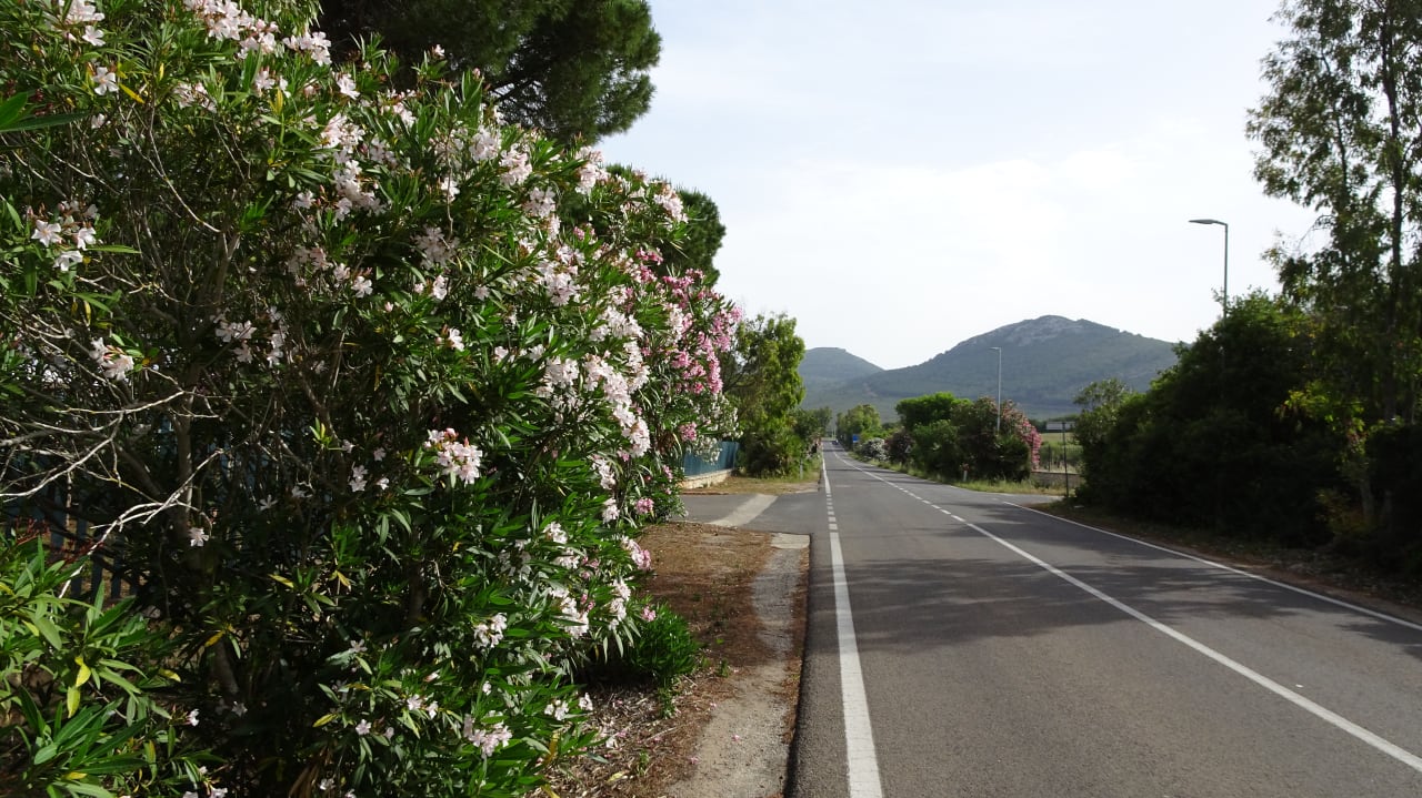 Sonstiges Hotel Portoconte