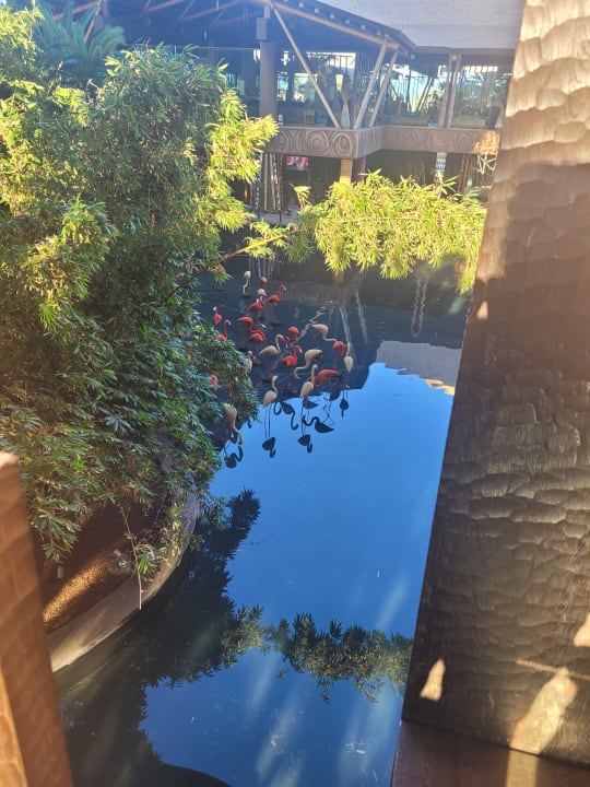 Gartenanlage Lopesan Baobab Resort