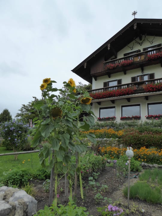 Außenansicht mit Vorgarten Pension Pauli