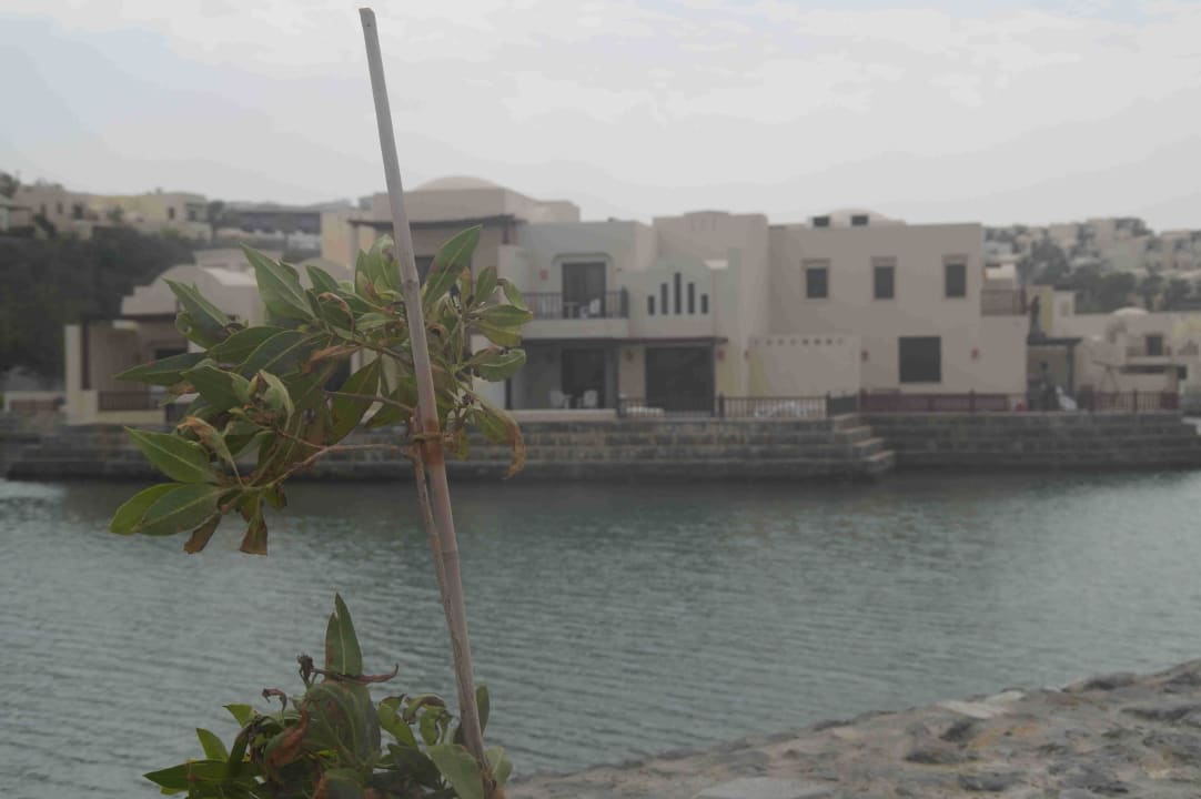 Hotel The Cove Rotana The Cove Rotana Resort