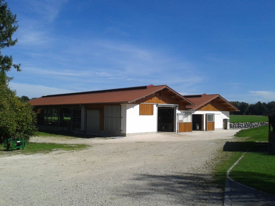 Saubere Rinderställe Ferienwohnungen Hirlhof