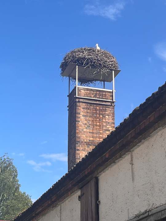 Gartenanlage Jugendherberge Lübben