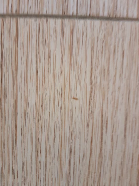 Zimmer Jaz Makadi Oasis Resort