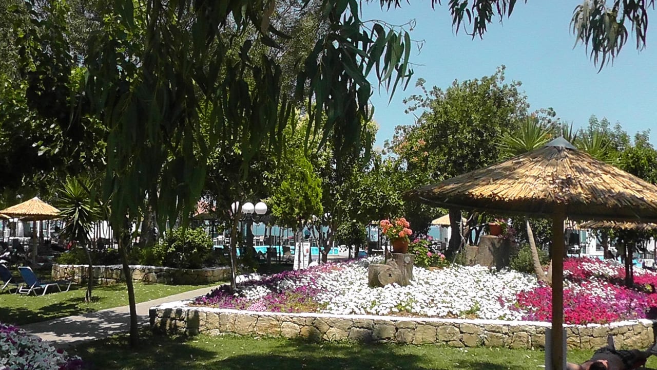 Corissia Paek Corissia Beach Hotel