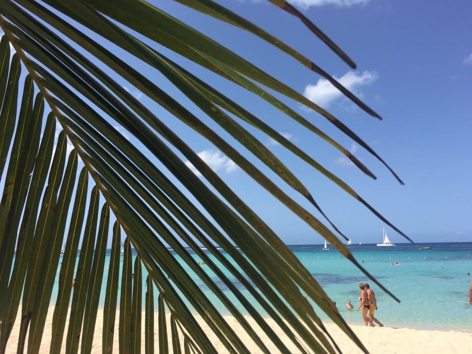 Dominikanische Republik 2016 Hotel Viva Dominicus Palace by Wyndham-All Inclusive Resort