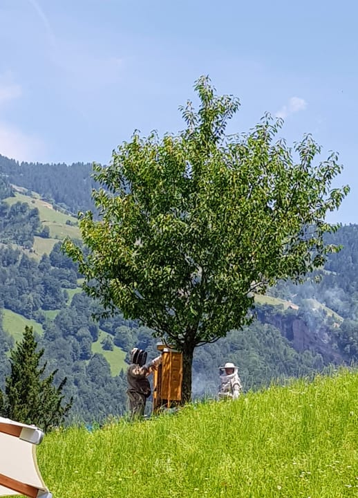 Gartenanlage See- und Seminarhotel FloraAlpina