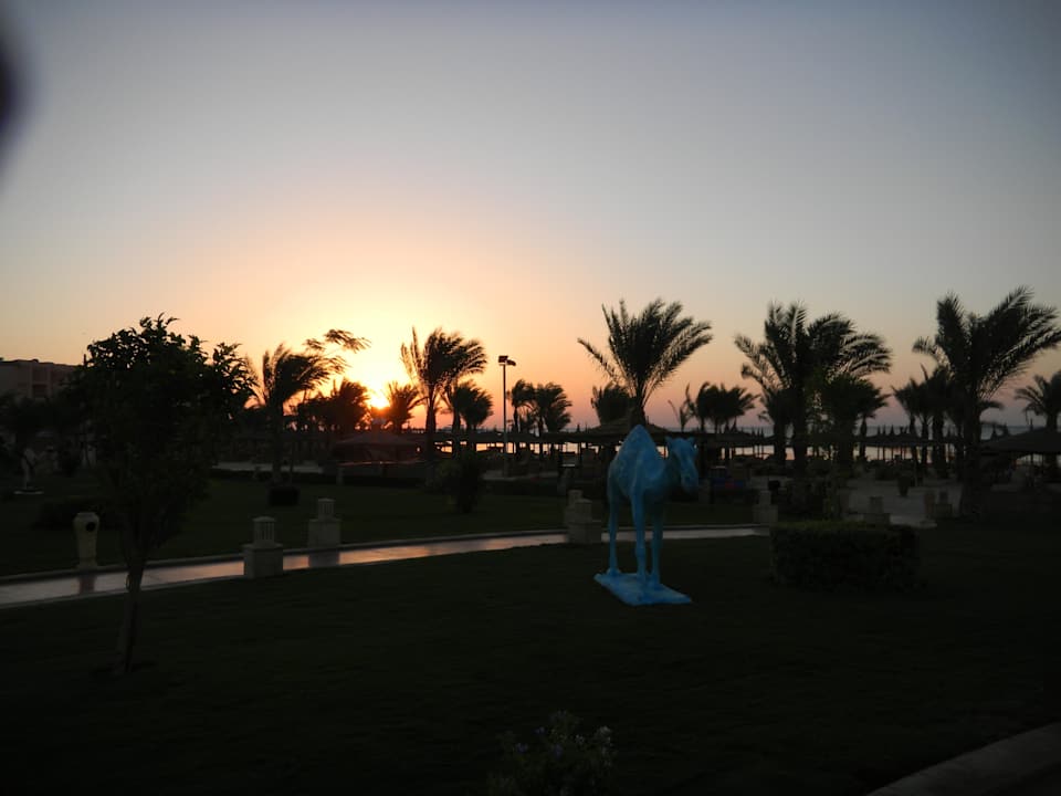 Sonnenaufgang Pickalbatros Palace Resort