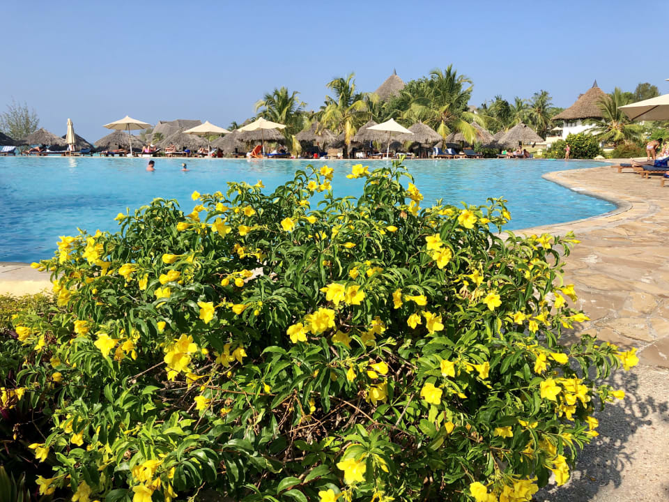 Pool Royal Zanzibar Beach Resort