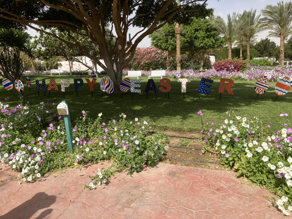 Gartenanlage Desert Rose