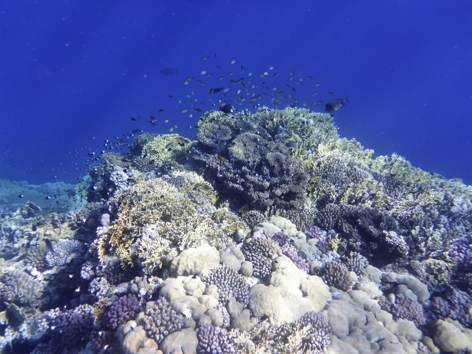 Strand Novotel Marsa Alam Beach Resort