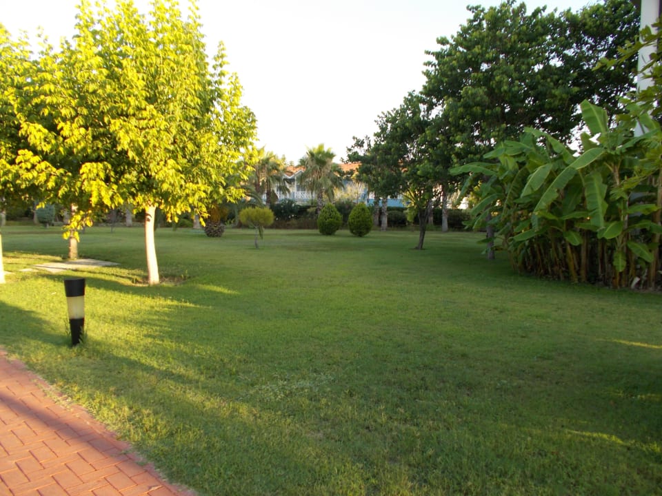 Überall ist es grün Sunis Elita Beach Resort & Spa