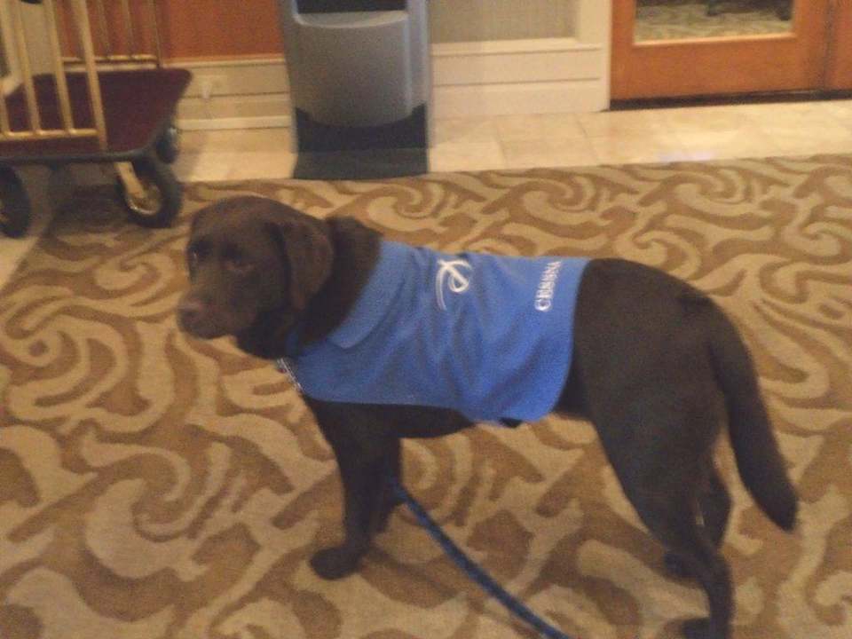 Cessna Pacific Gateway Hotel at Vancouver Airport