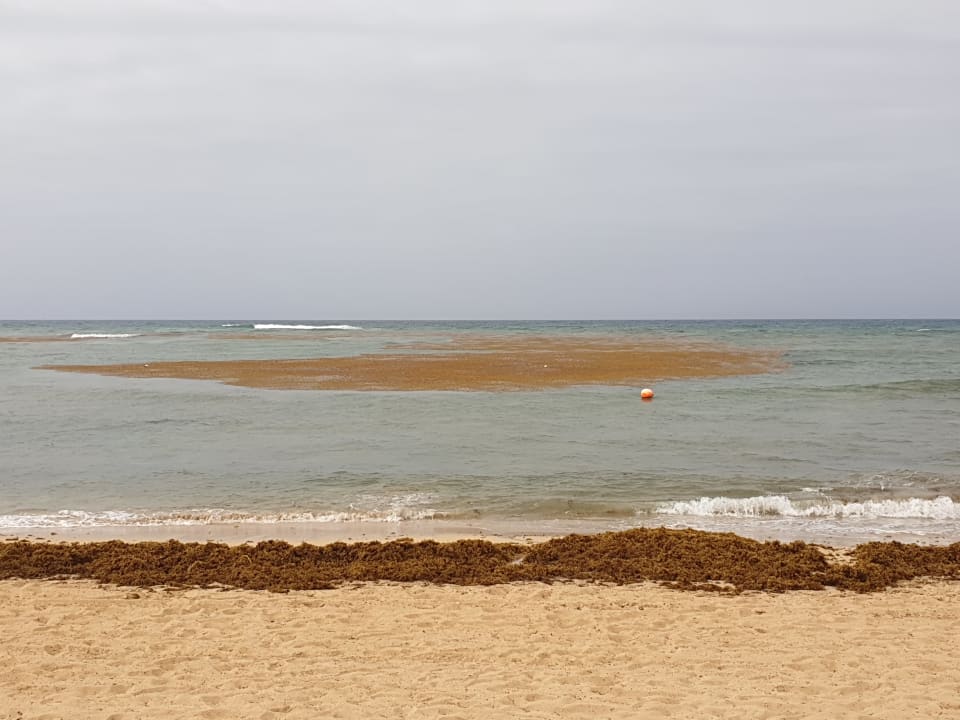 Strand Wyndham Alltra Punta Cana