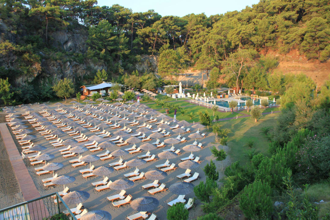 Blick auf den Hotelstrand TUI BLUE Seno - Adults Only