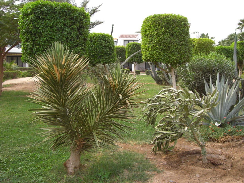 Der Garten Lotus Bay Beach Resort