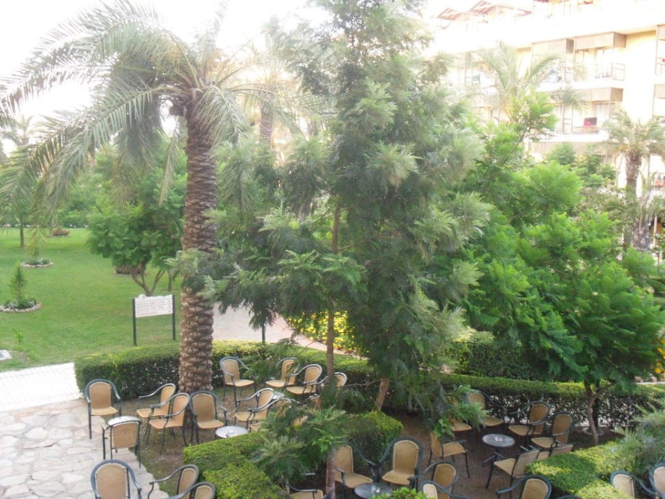 Garten Bar Crystal Paraiso Aqua Collection