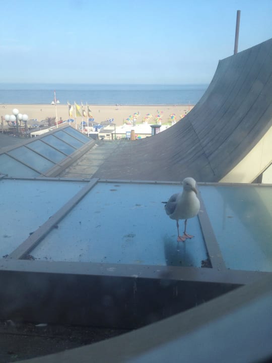 Blick aus dem Zimmer Grand Hotel Amrâth Kurhaus The Hague Scheveningen