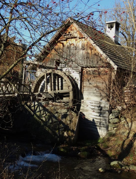 Mühlrad Naturhotel Molzbachhof