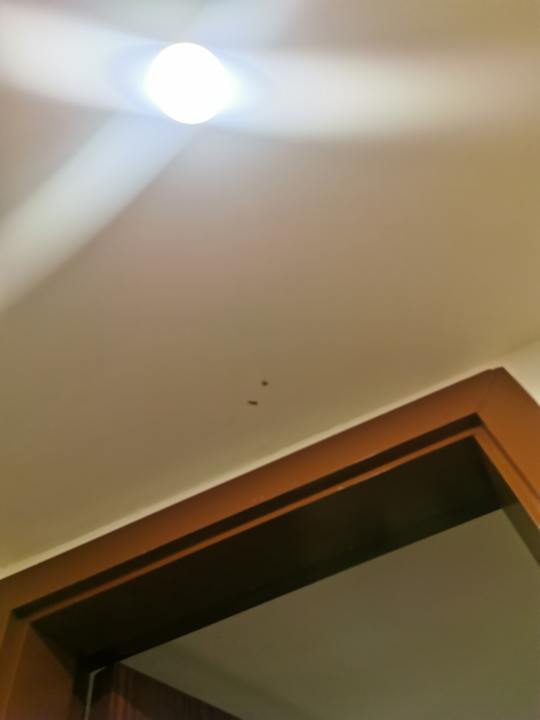 Zimmer Pickalbatros Alf Leila Wa Leila Resort - Neverland Hurghada