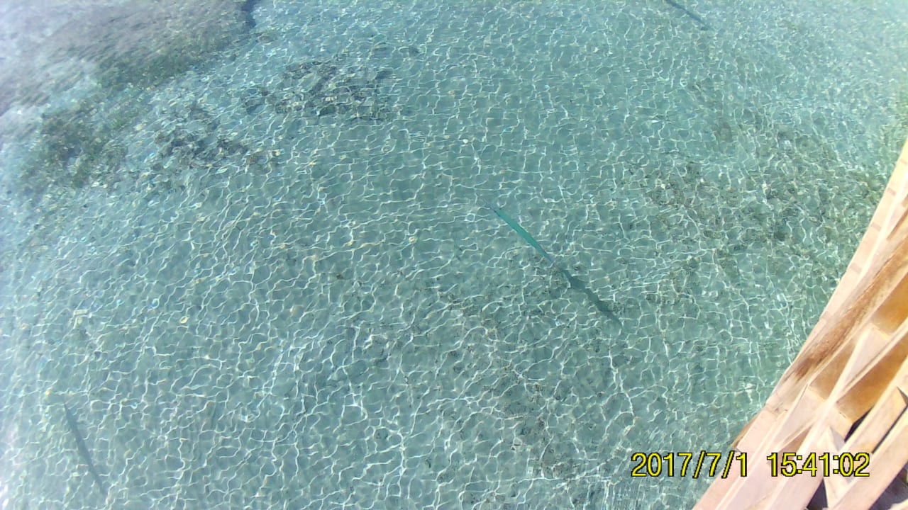 Strand Makadi Spa - Adults only