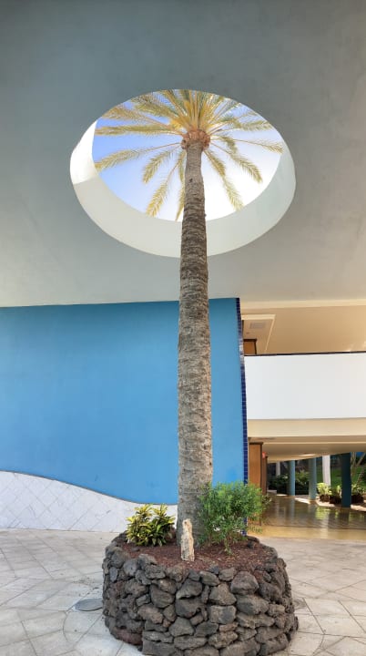 Gartenanlage R2 Pajara Beach