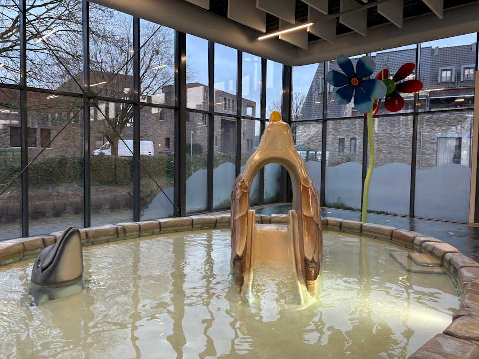 Pool Dormio Resort Maastricht