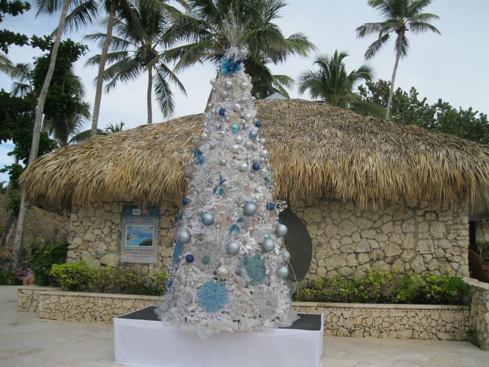 Sonstiges Hotel Viva Dominicus Beach by Wyndham - All Inclusive Resort