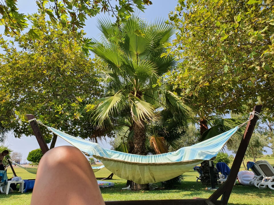 Gartenanlage TUI KIDS CLUB Felicia Village