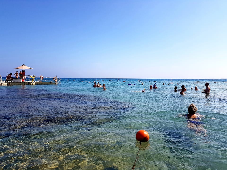 Strand Pickalbatros Palace Resort