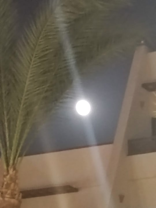 Außenansicht Pharaoh Azur Resort