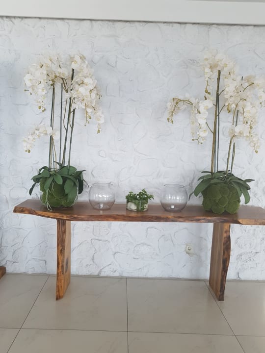 Lobby Dimitra Beach Hotel & Suites