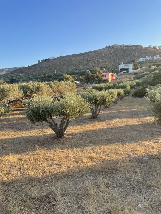 Ausblick Chrissy's Paradise