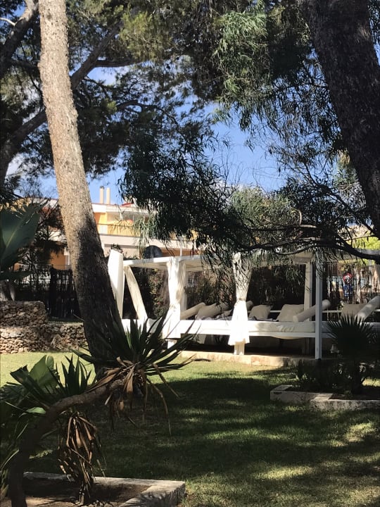 Pool Grupotel Montecarlo