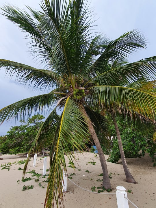 Strand Sunscape Puerto Plata