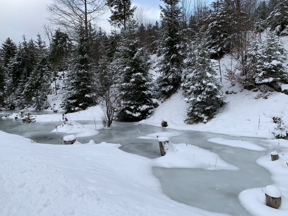 Ausblick Hotel Alpenhof Krün