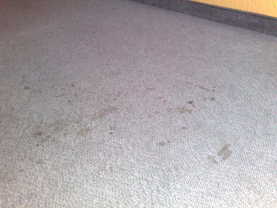 Flecken auf dem Teppich Hotel Löwen