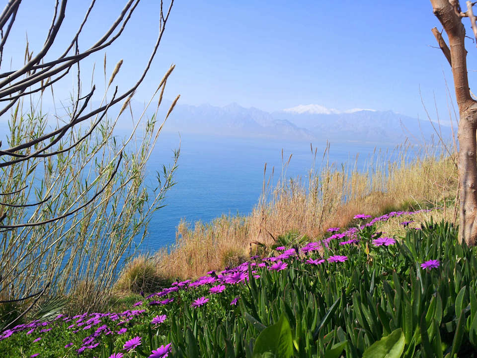The Marmara Antalya Hotel The Marmara Antalya Hotel