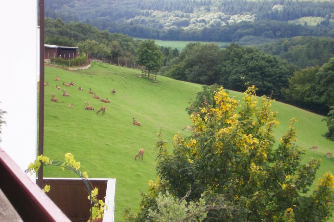 Blick vom Balkon des Zimmers Hotel Kastenholz