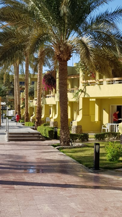 Gartenanlage Palm Beach Resort