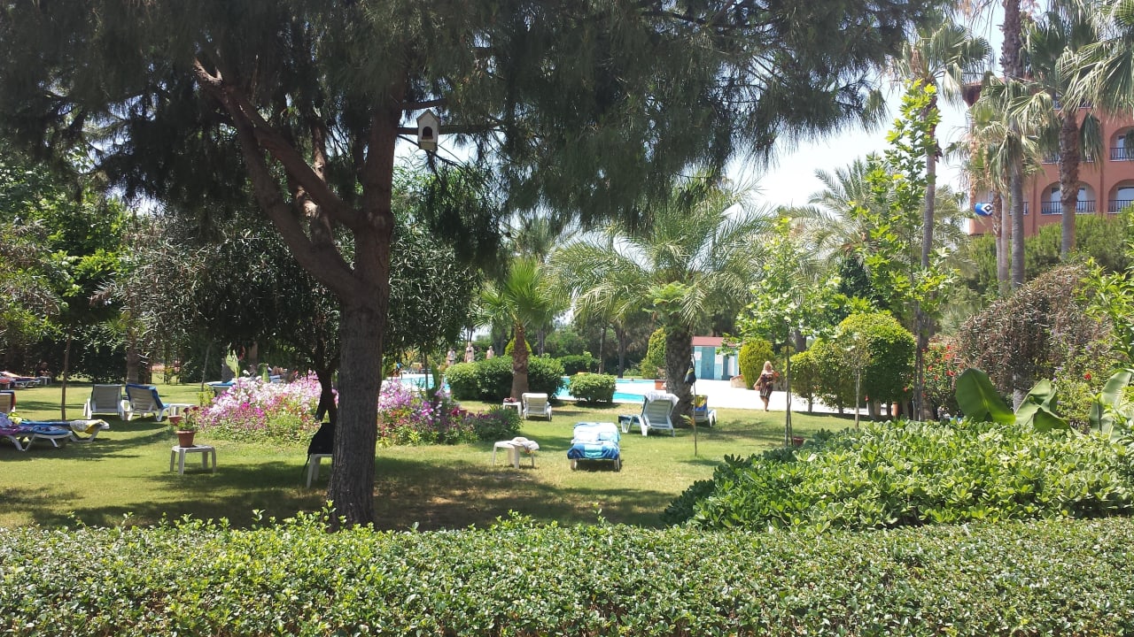 Liegewiese Ruhepool Club Turtas Beach Hotel