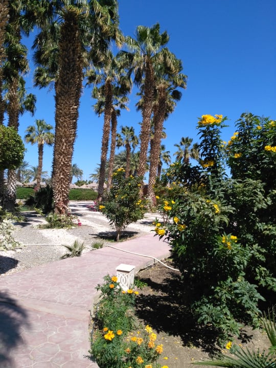 Gartenanlage Lotus Bay Beach Resort