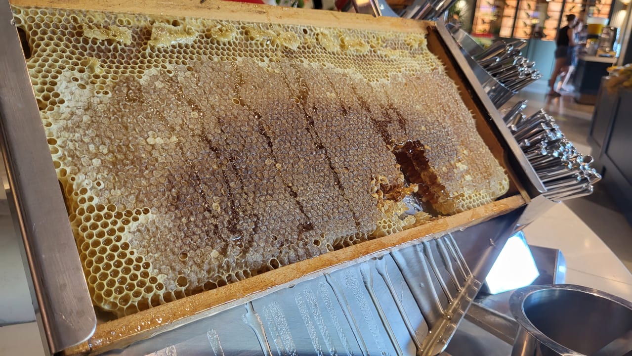 Gastro Seaden Quality Resort & Spa