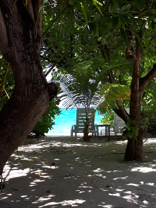 Blick von der Terrasse zu den Strandliegen von Bungalow 139 Angaga Island Resort