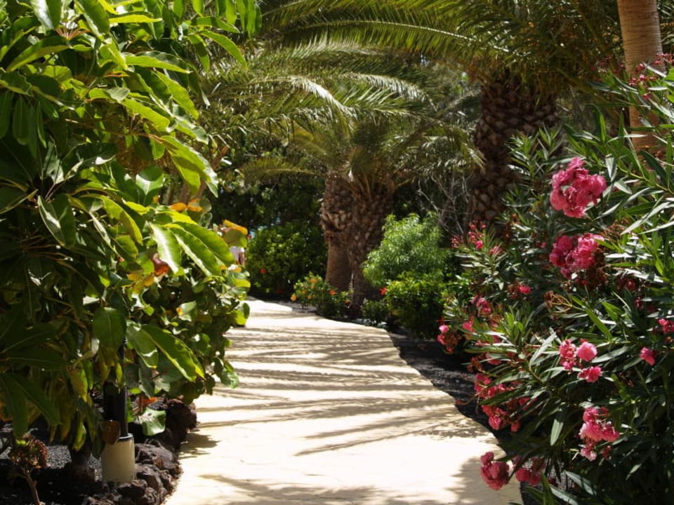 Umgebung Hotel SBH Hotel Costa Calma Palace