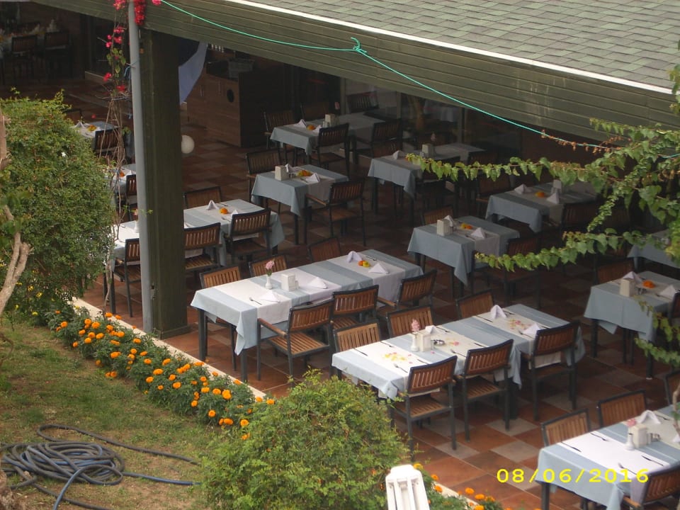 Blick vom Zimmer Calimera Hane Garden